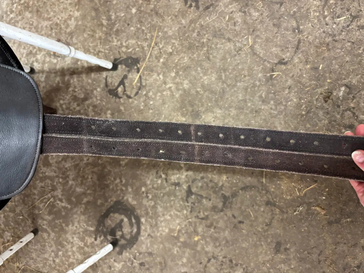 Billede 5 - Barefoot Cheyenne "Lily" Special Edition