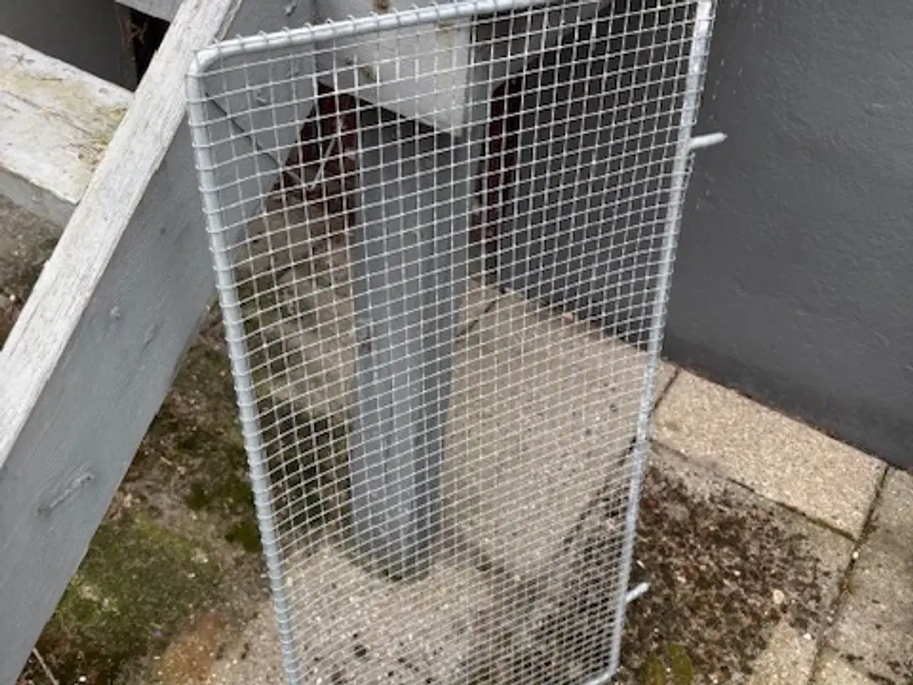 Billede 4 - Trådrammer og volieretråd til fugl eller kanin