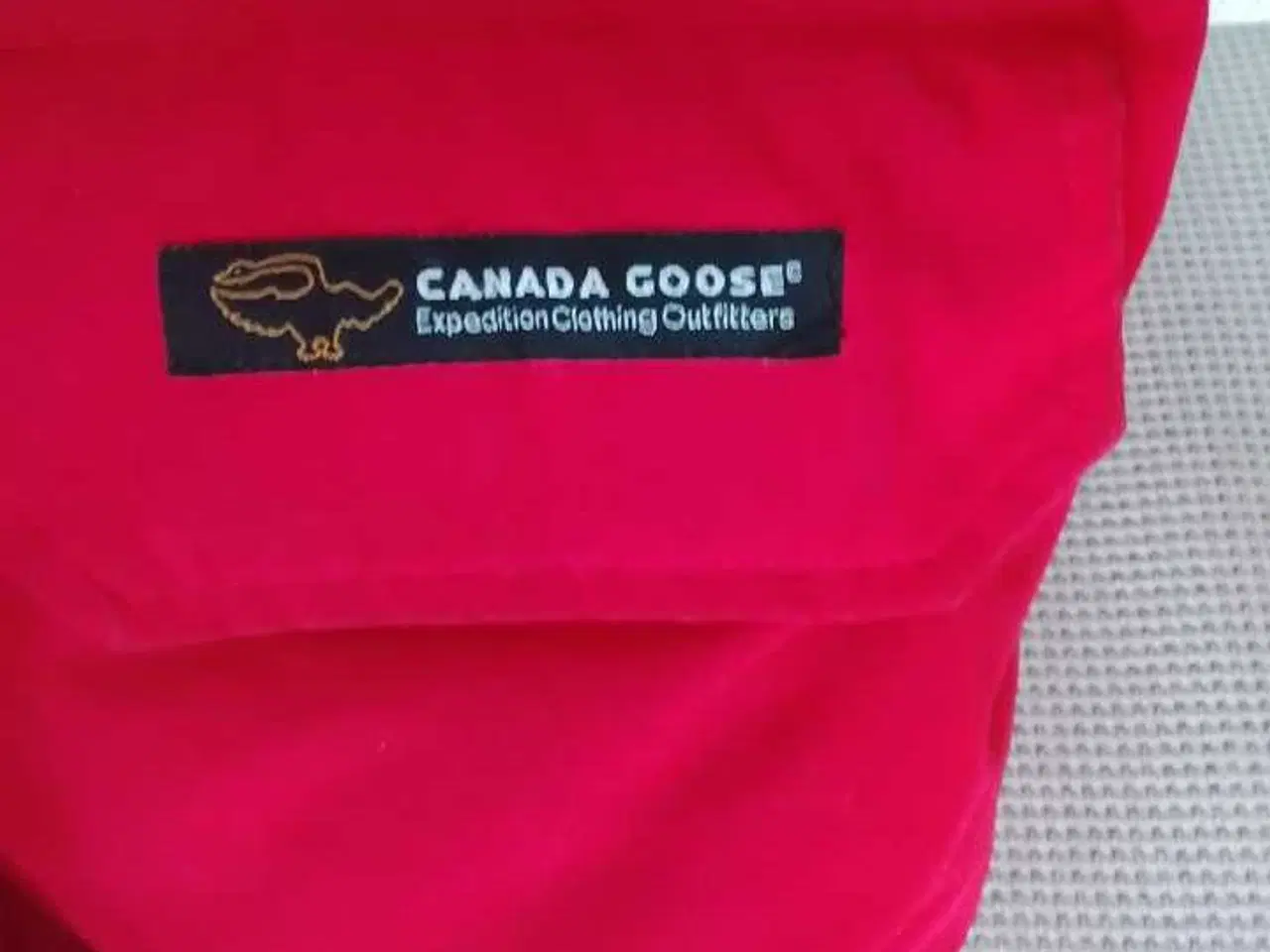 Billede 3 - Canadien Goose