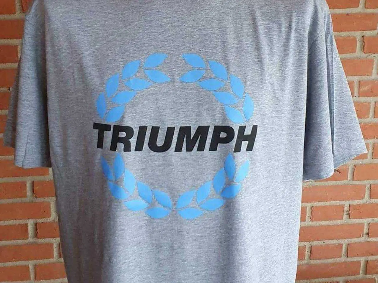 Billede 1 - Triumph - t shirt - 2 styk - XL