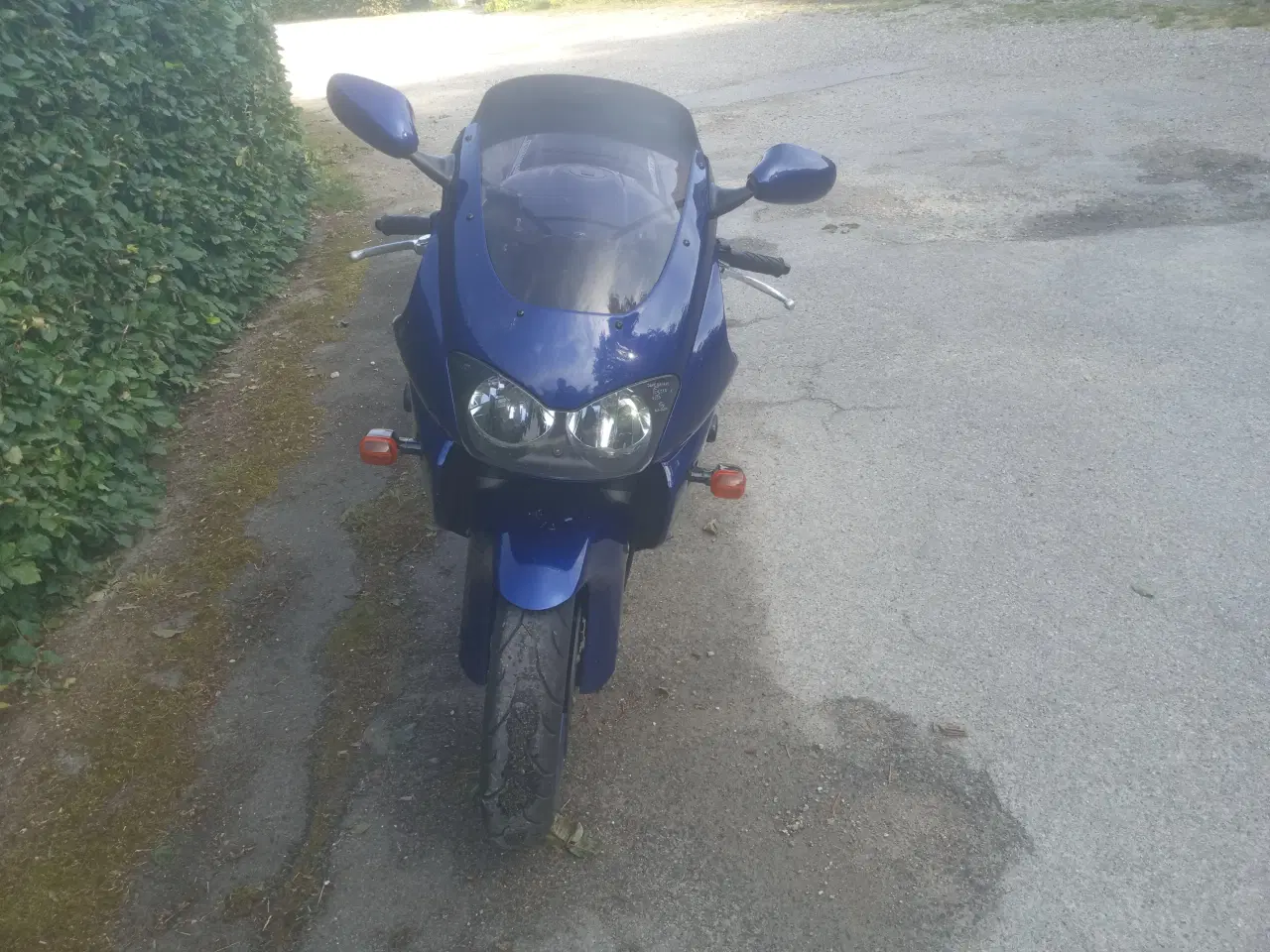 Billede 1 - Yamaha YZF1000R