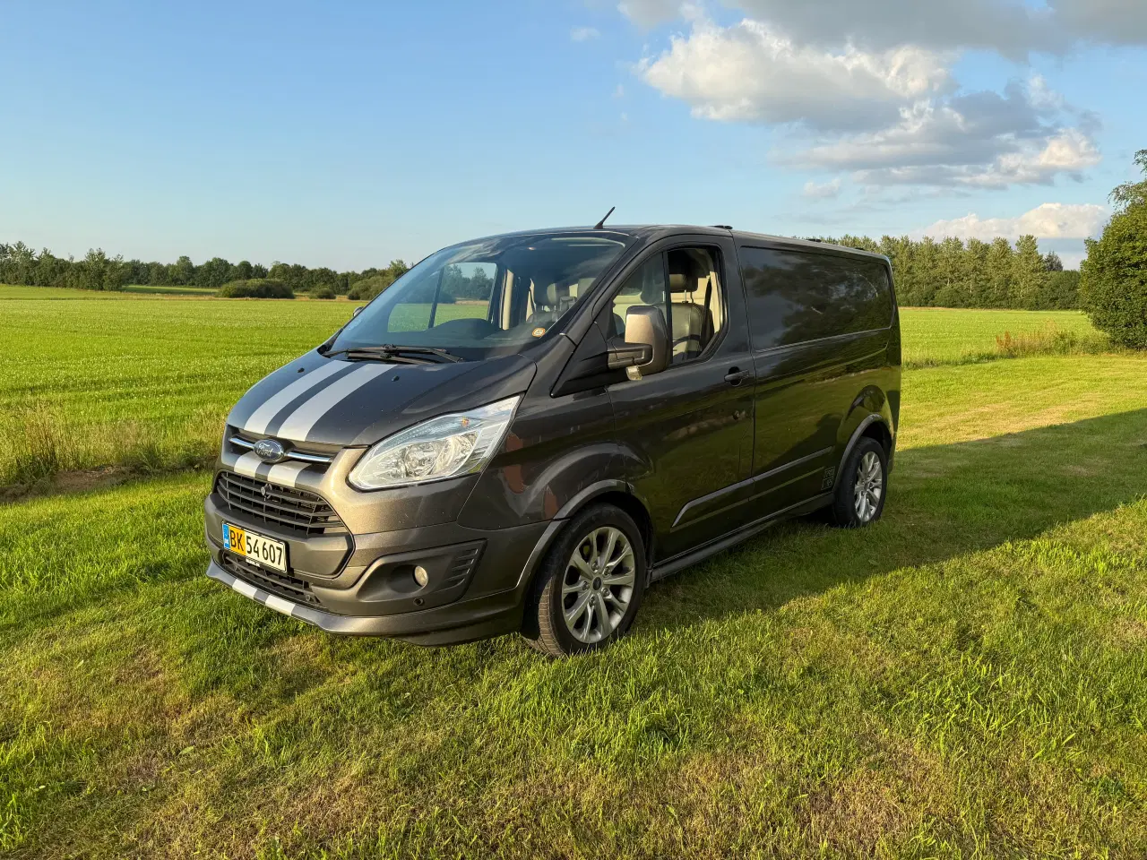 Billede 1 - Ford transit Custom 290L 2.2 155HK
