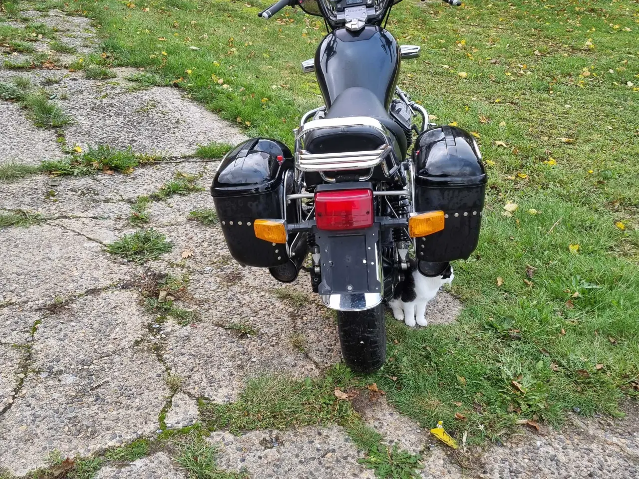Billede 8 - Motoguzzi 
