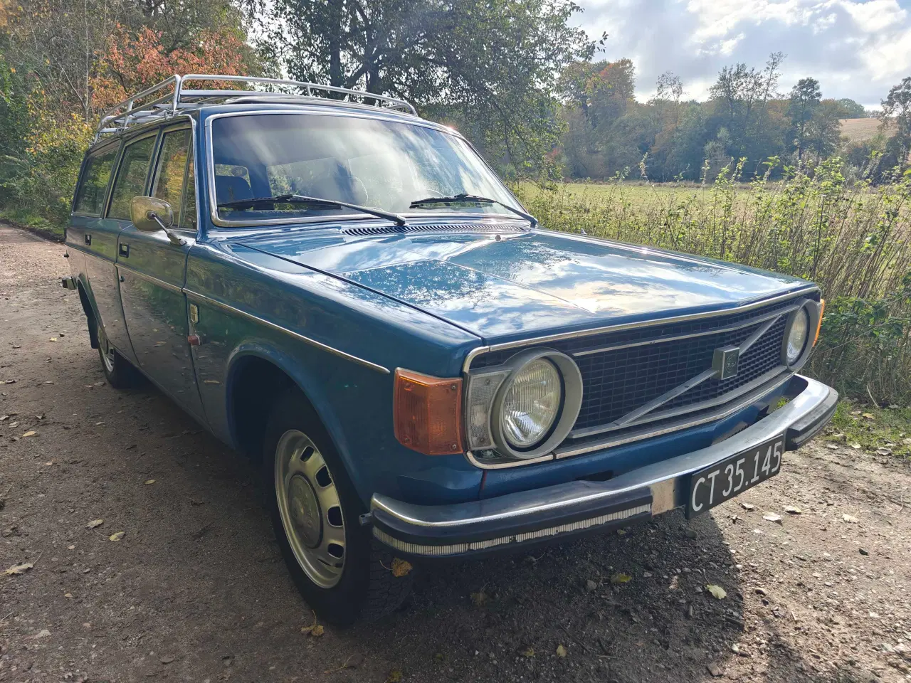Billede 8 - Volvo 145 1973
