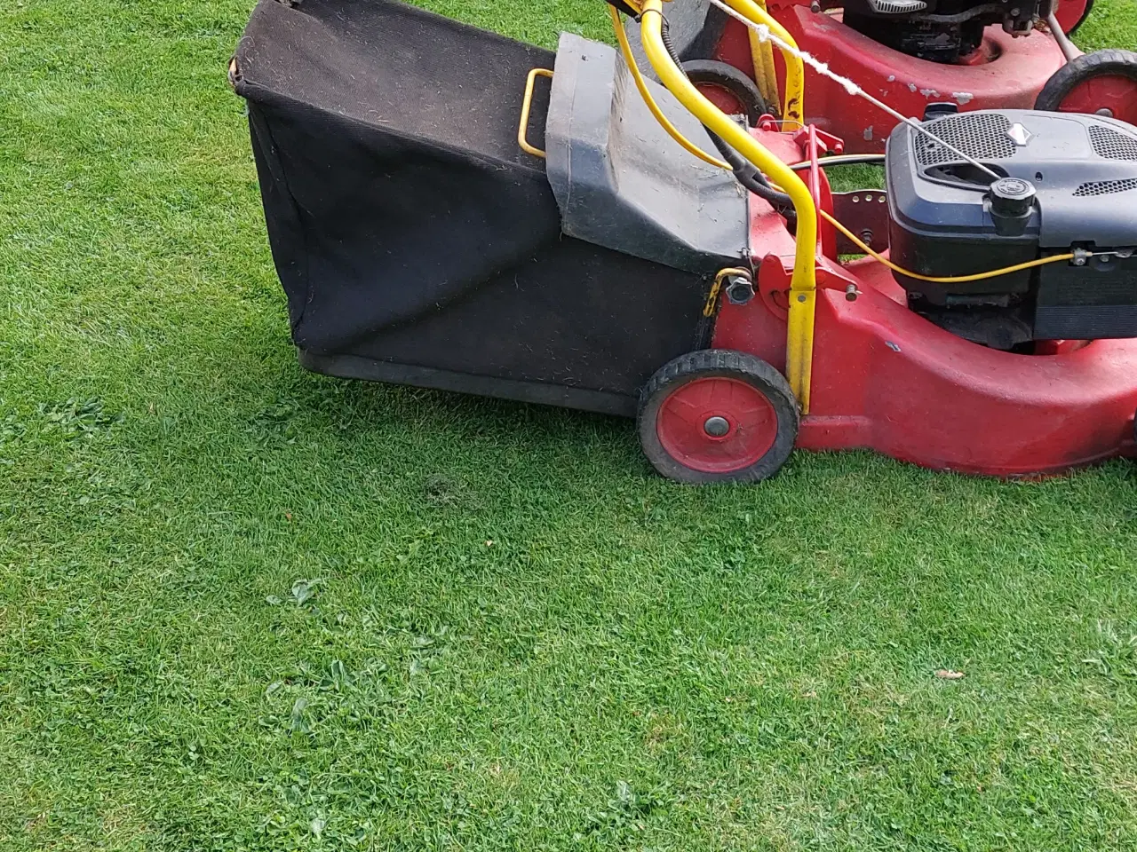 Billede 4 - Klippo plæneklipper 