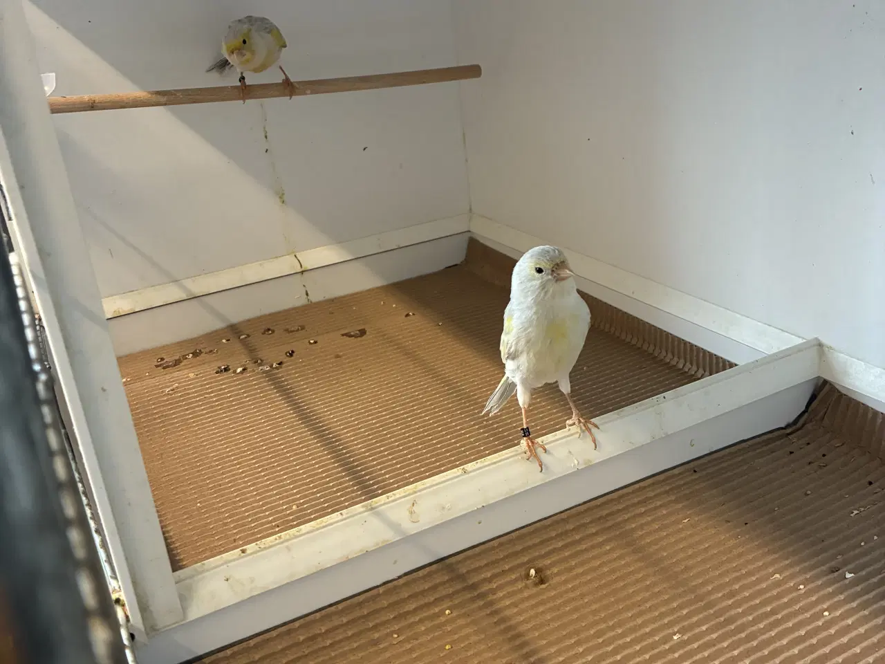 Billede 6 - Agat mosaikker fra 2024