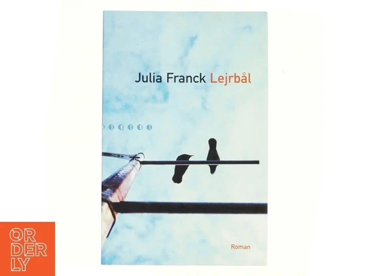 Billede 1 - Lejrbål : roman af Julia Franck (Bog)