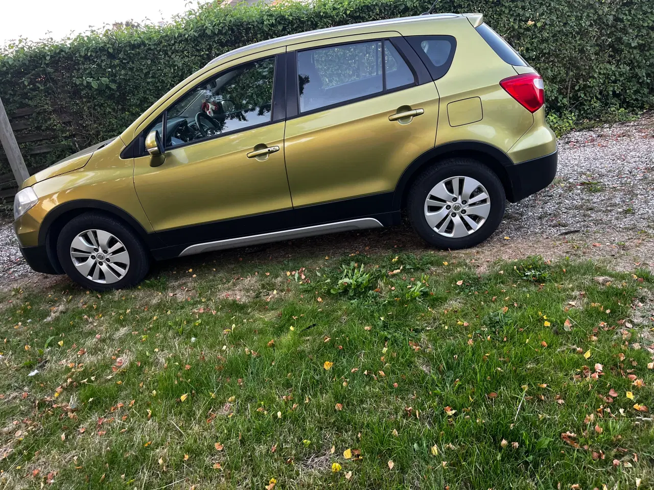 Billede 6 - Suzuki s cross