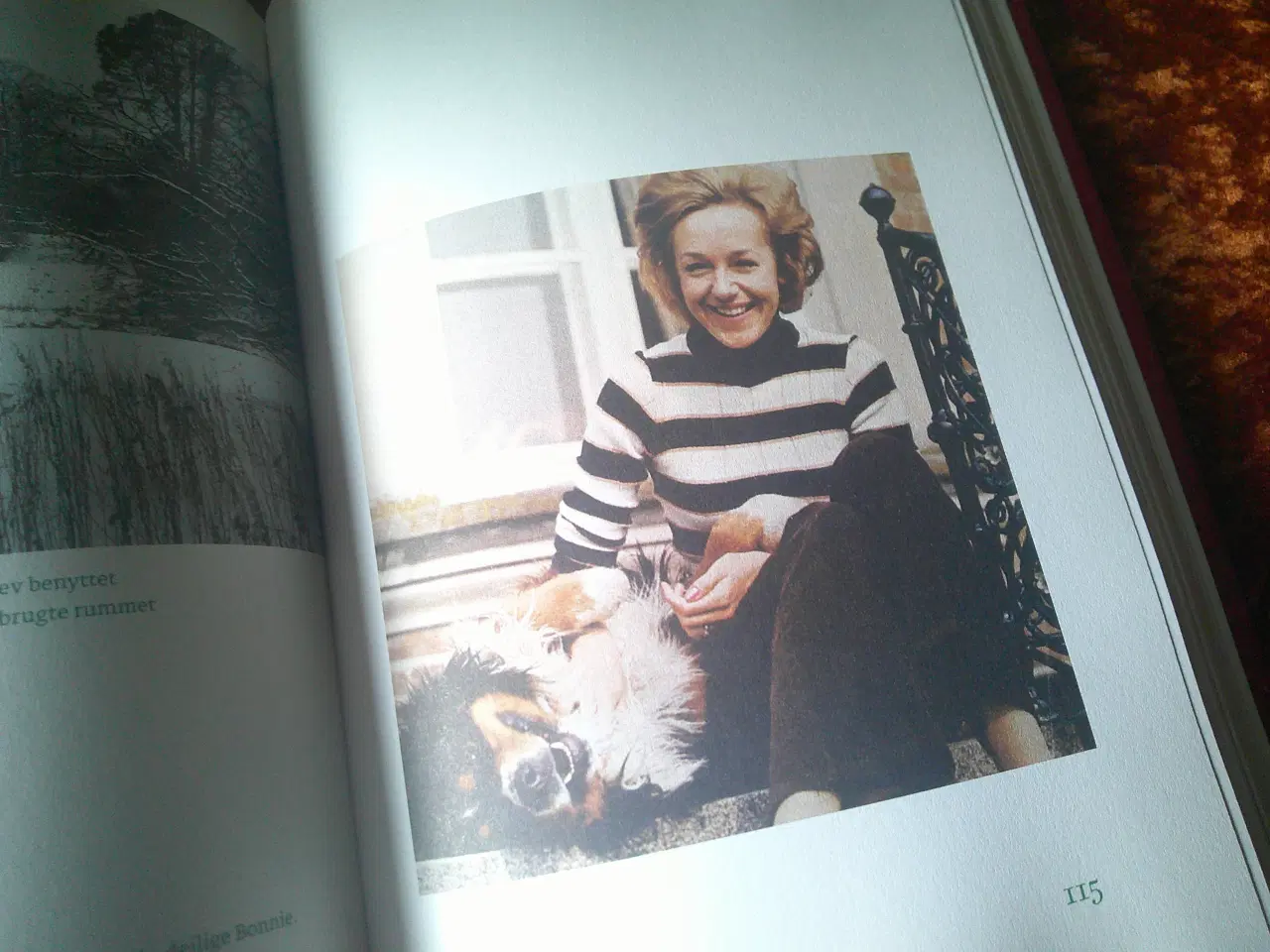 Billede 3 - Bag skodderne, Helle Stangerup