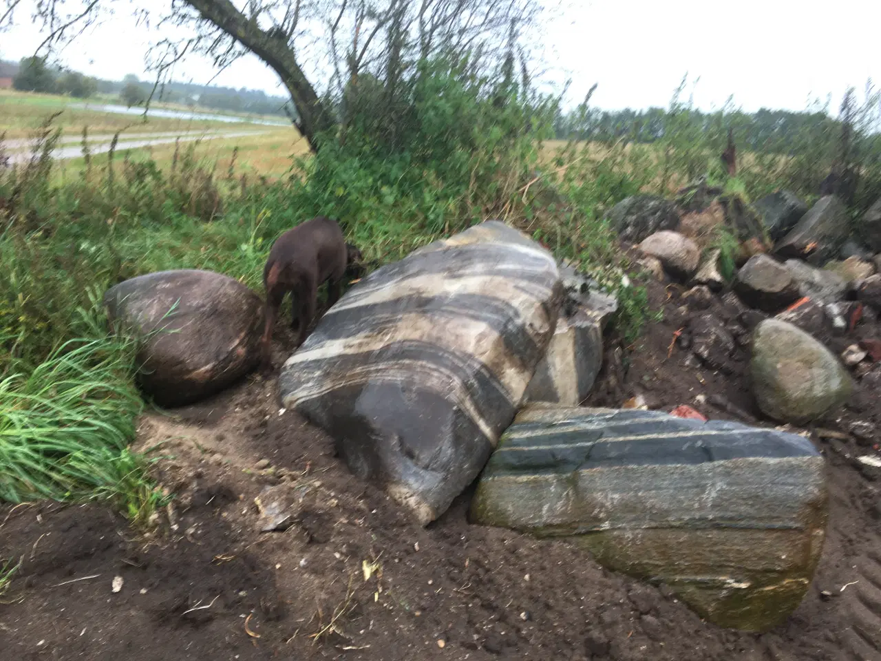 Billede 1 - marksten gives væk