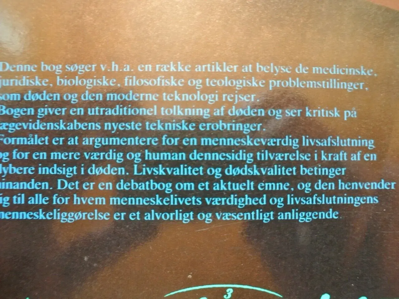 Billede 4 - dødskvalitet - tværfaglige overvejelser om døden, 
