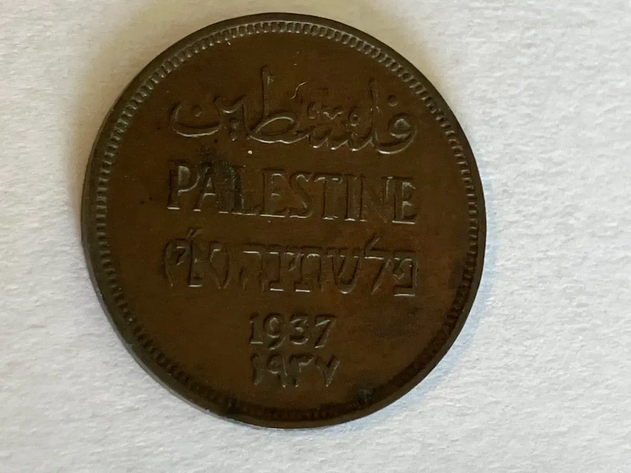 Billede 1 - 1 Mil Palestine 1937