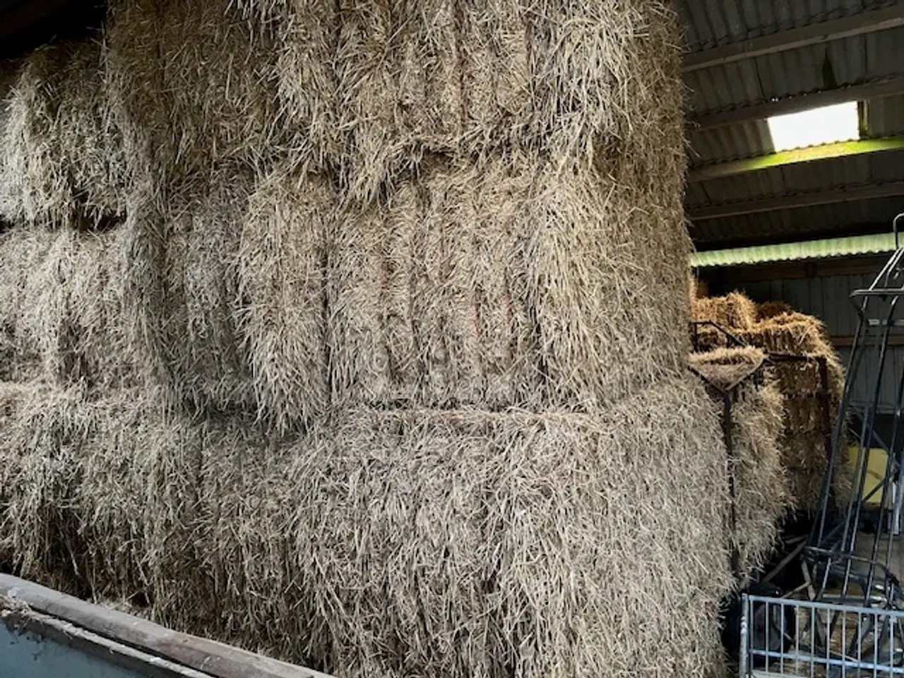 Billede 2 - halm