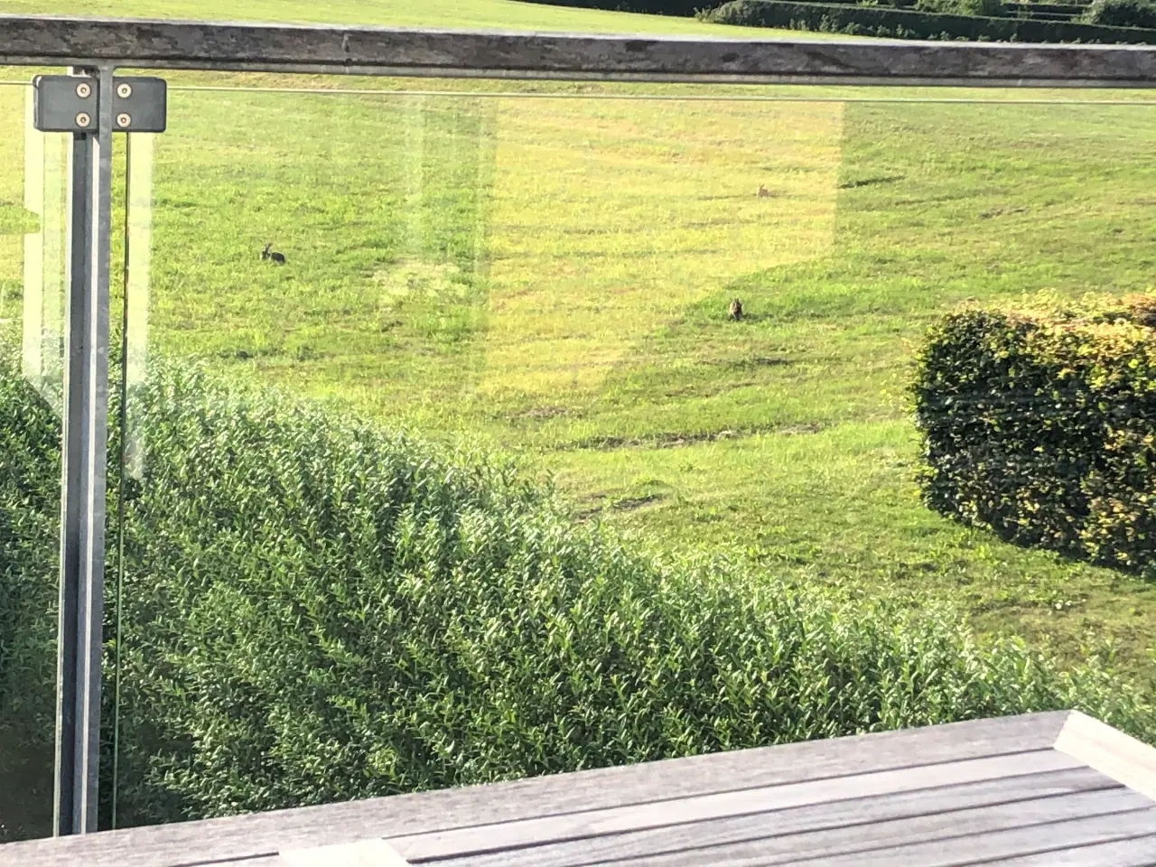 Billede 4 - Glasværn Glashegn Rækværk Transparent Udendørs