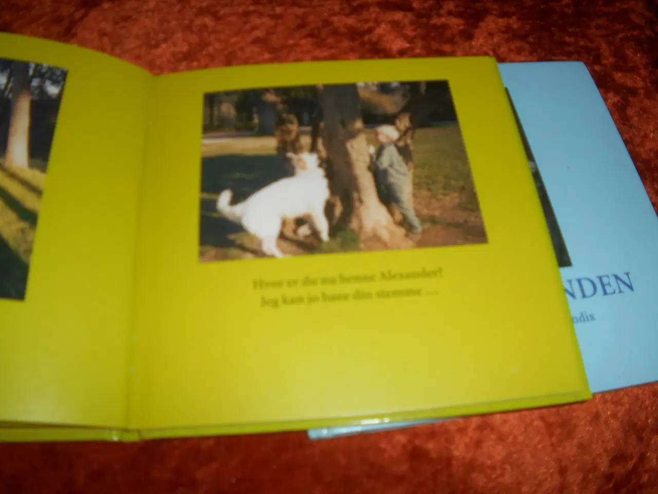 Billede 2 - Ivan, Anne Linnet, 