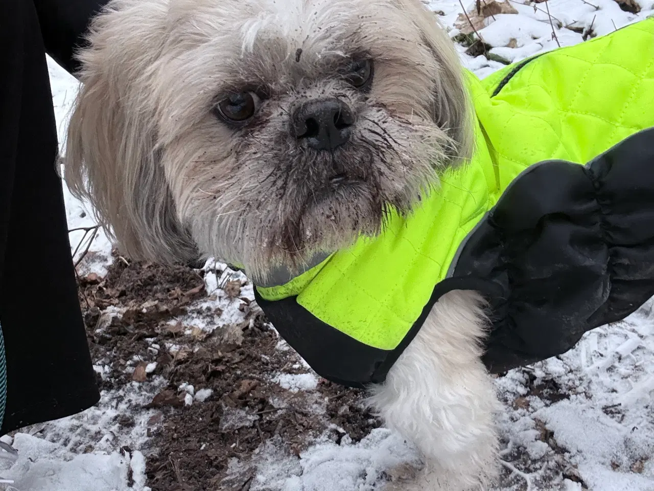 Billede 12 - Allergi venlige bomulds blandinger
