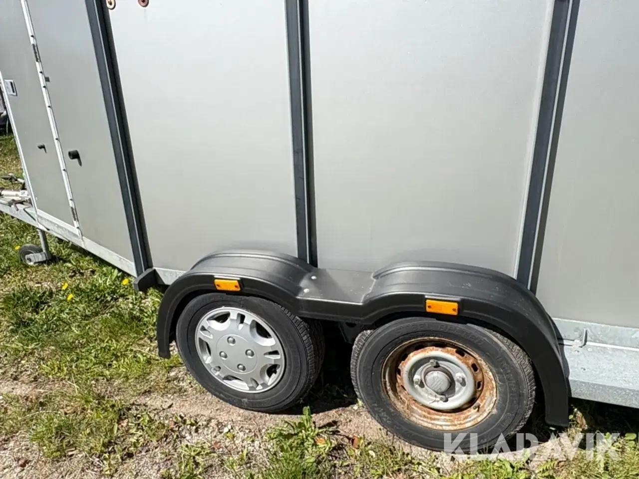 Billede 8 - Hestetrailer 2575kg IFOR Williams HB510RC