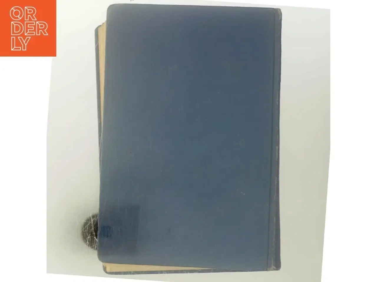 Billede 3 - Børnen i Ny-skoven af F. Marryat (Bog)