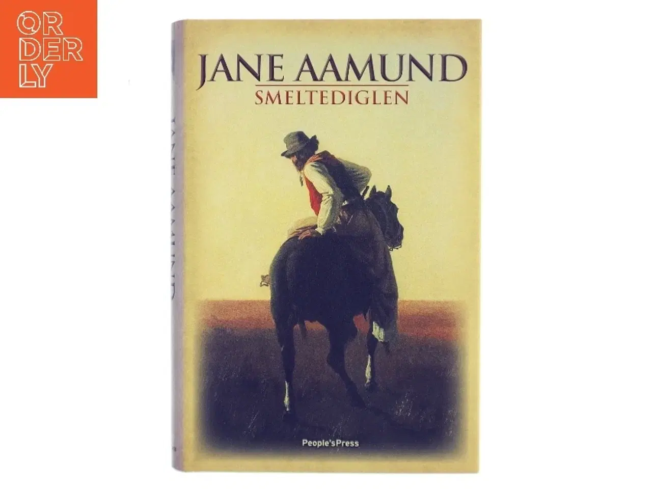 Billede 1 - Smeltediglen : andet bind i slægtskrøniken om de dansk-argentinske indvandrere : roman af Jane Aamund (Bog)