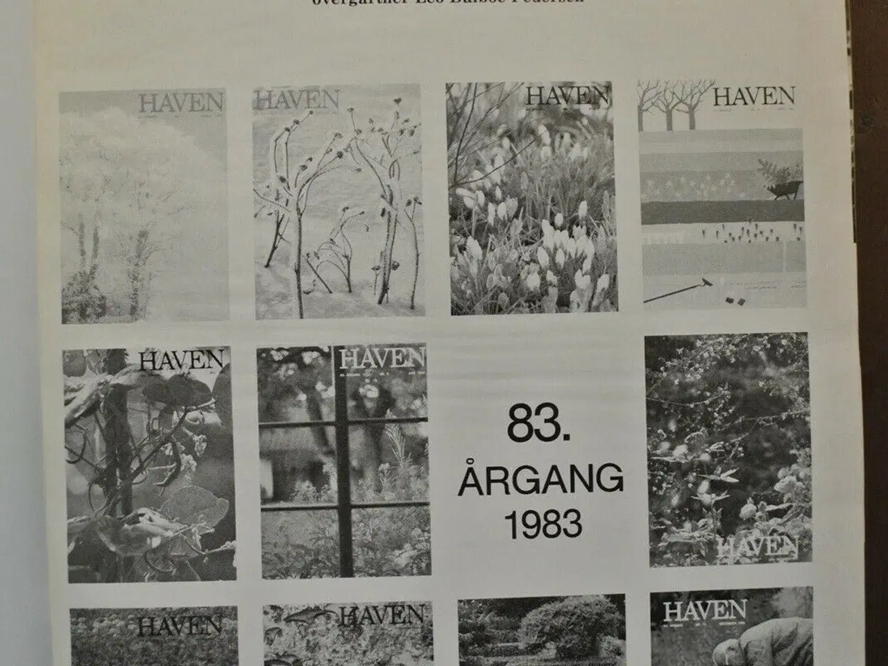 Billede 2 - haven 1983 83. årgang, red. af søren ryge petersen