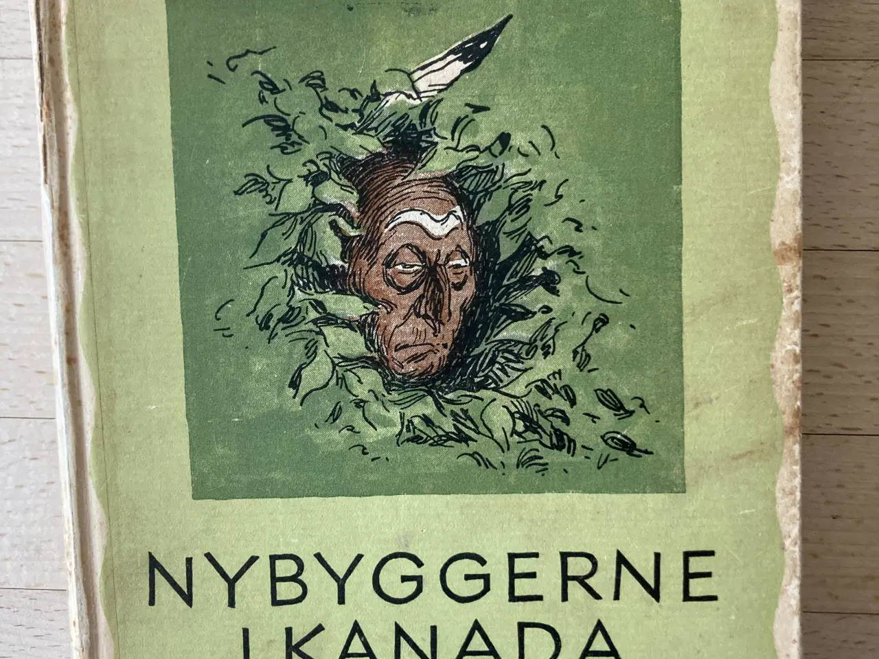 Billede 1 - Nybyggerne i Kanada, Kaptajn Marryat