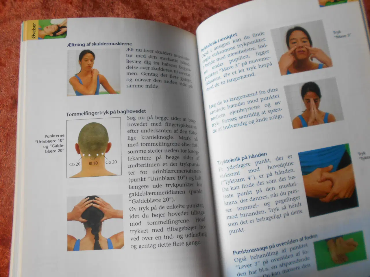 Billede 4 - Shiatsu, Bernard C. Kolster