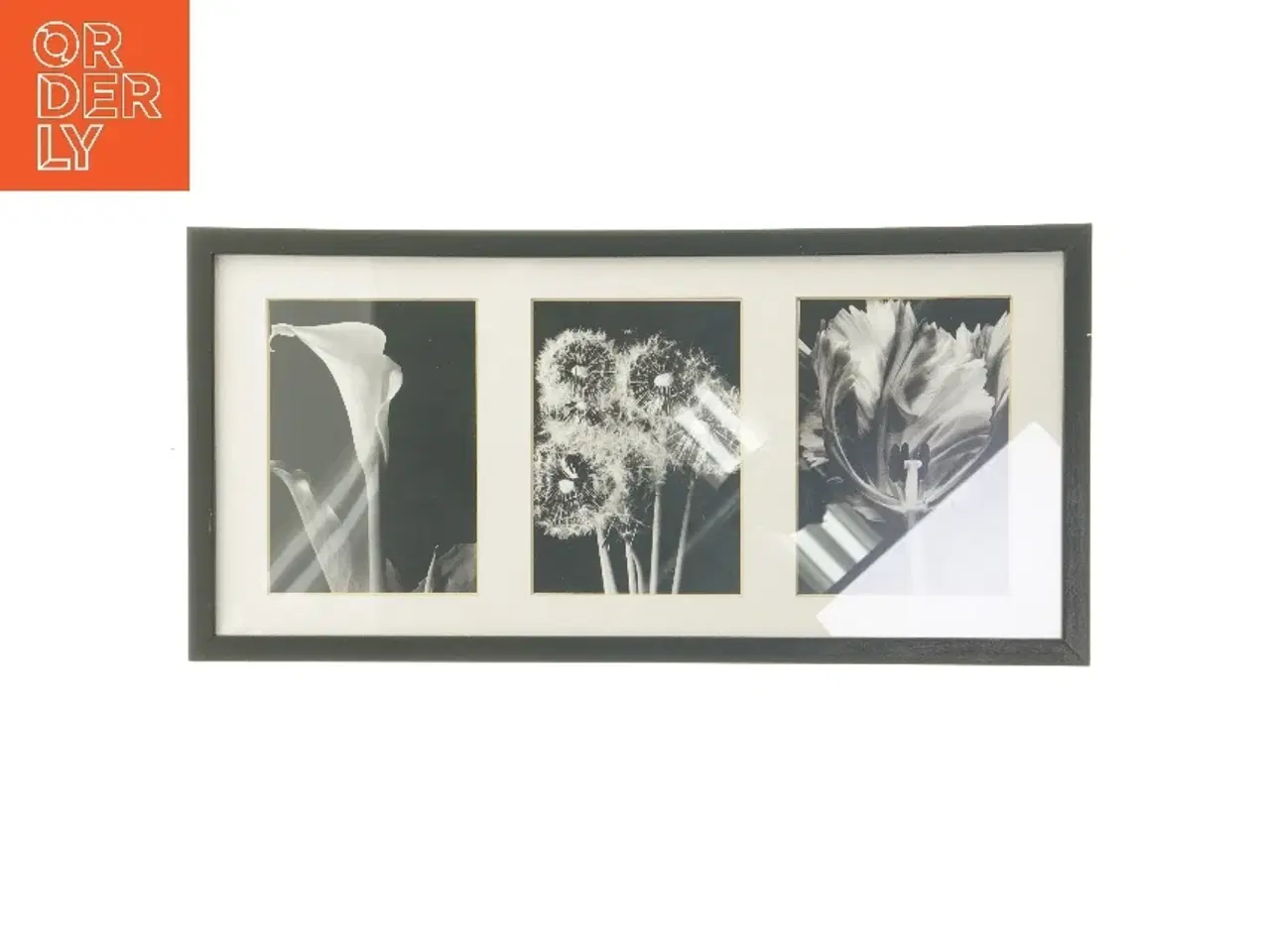 Billede 1 - Sort billedramme med blomsterbilleder (str. 25,5x52,5 cm)