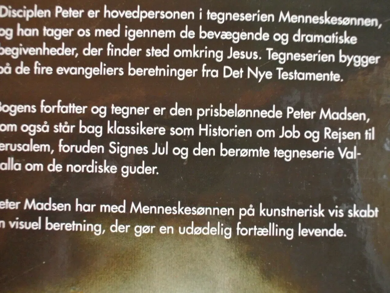 Billede 2 - menneskesønnen. en tegneserie om jesus, Af peter m