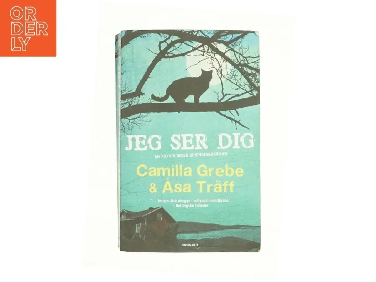 Billede 1 - Jeg ser dig af Camilla Grebe & Åsa Tr&#228;ff (Bog)