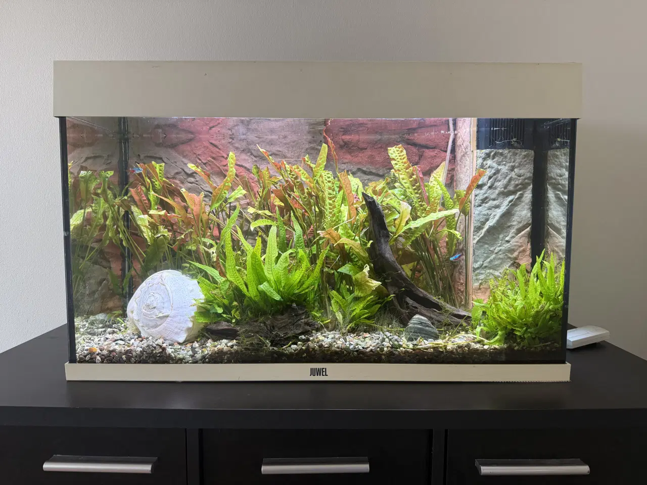 Billede 1 - Akvarium med alt tilbehør