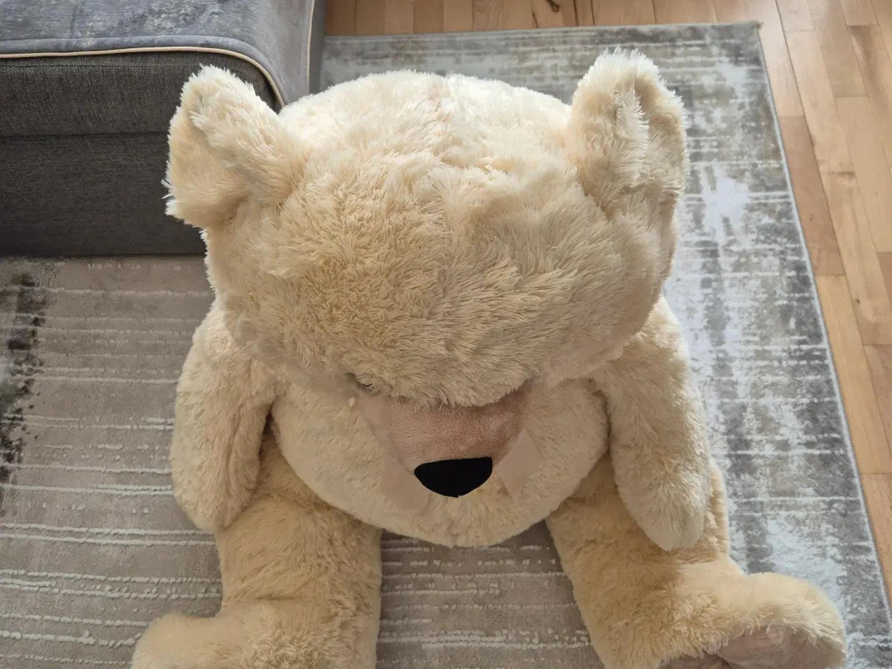 Billede 5 - Stor Bamse
