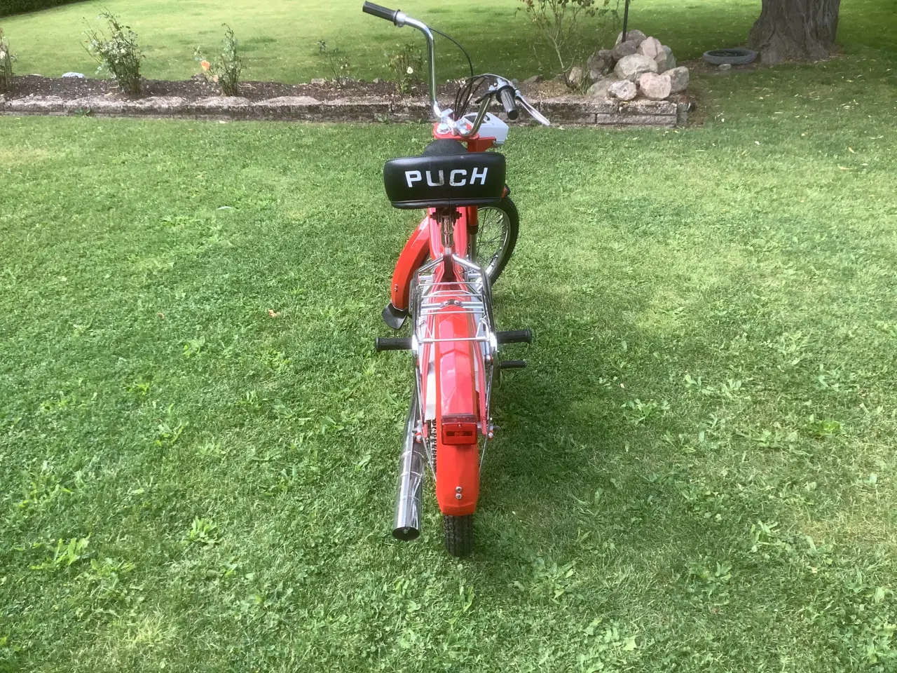 Billede 4 - Puch Maxi k