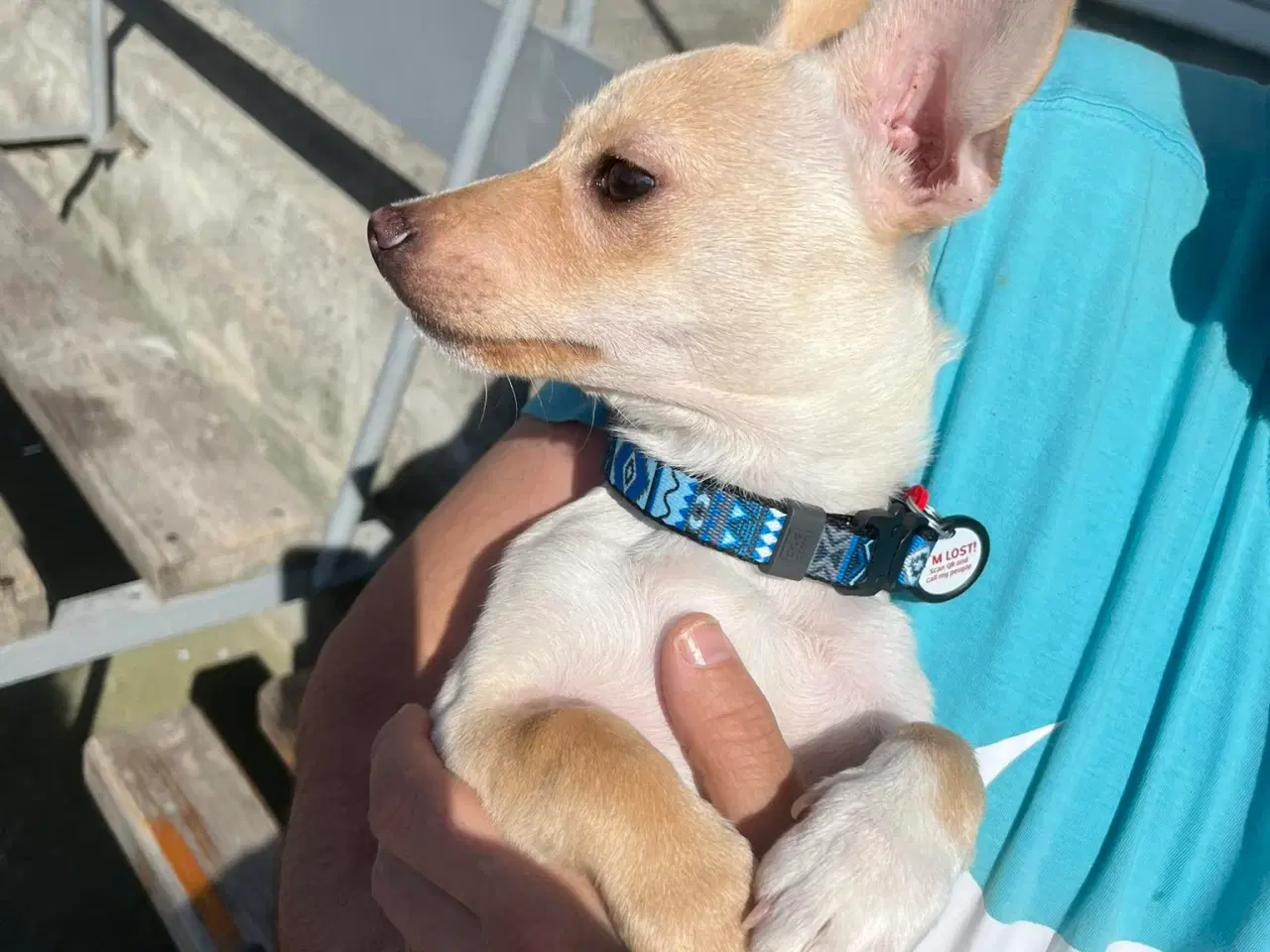 Billede 17 - Lille Mille 🩷