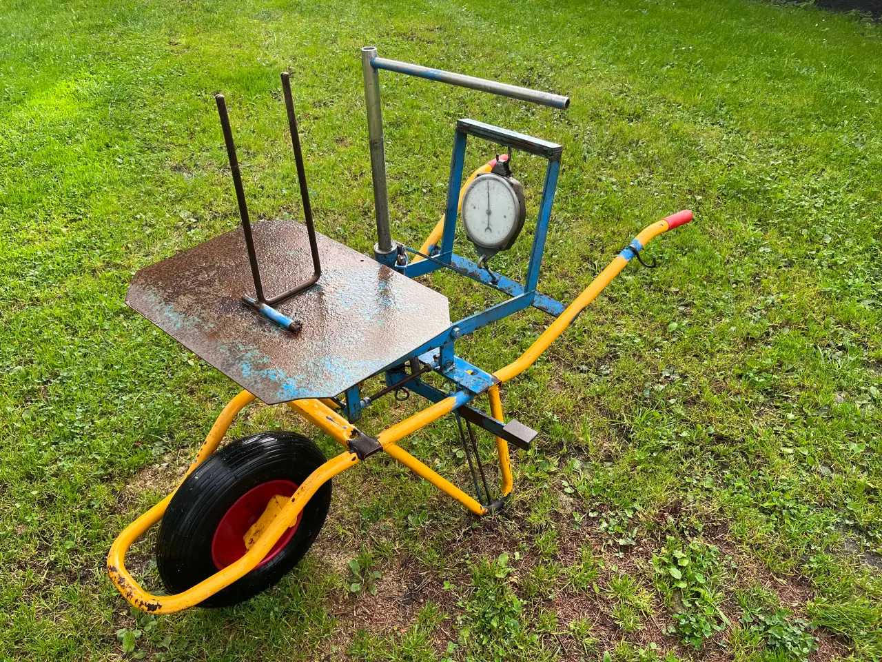 Billede 1 - Pyntegrønts vægt bygget på trillebøre stel.