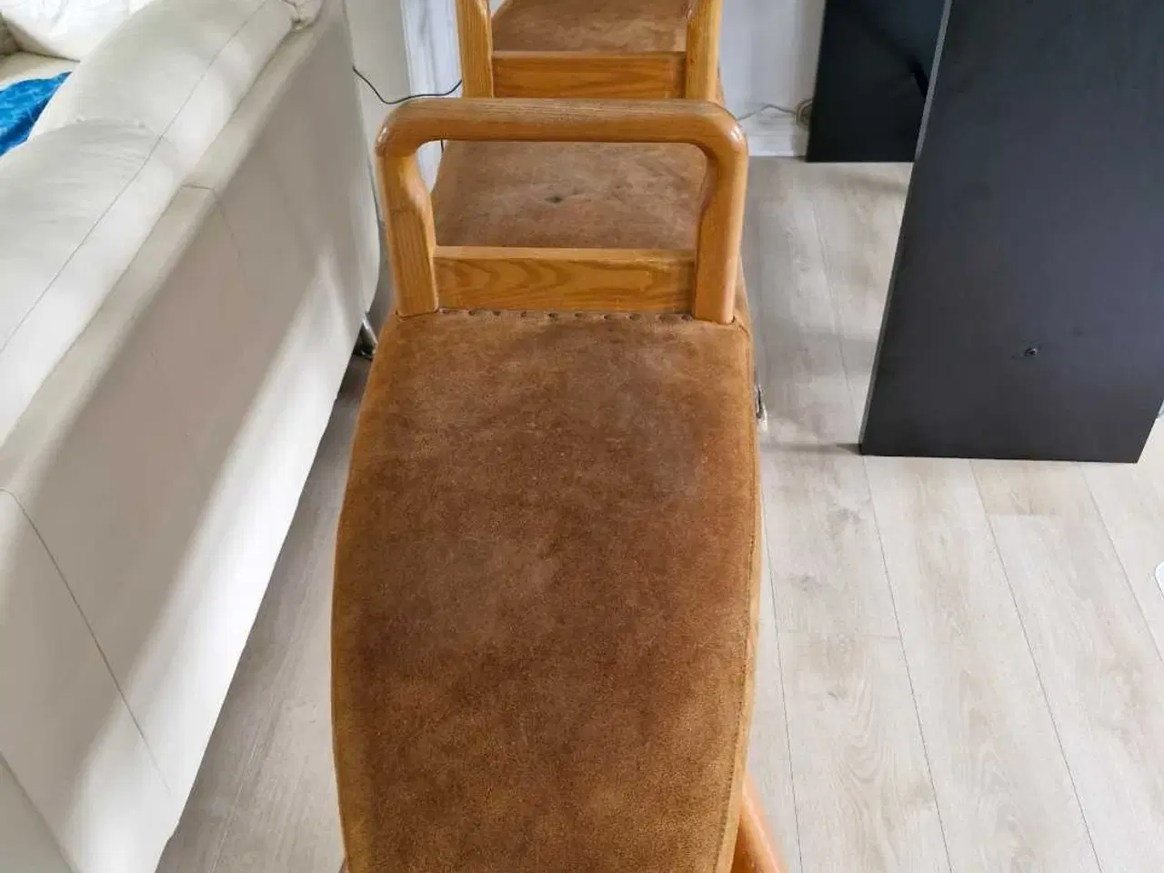 Billede 1 - Springbuk