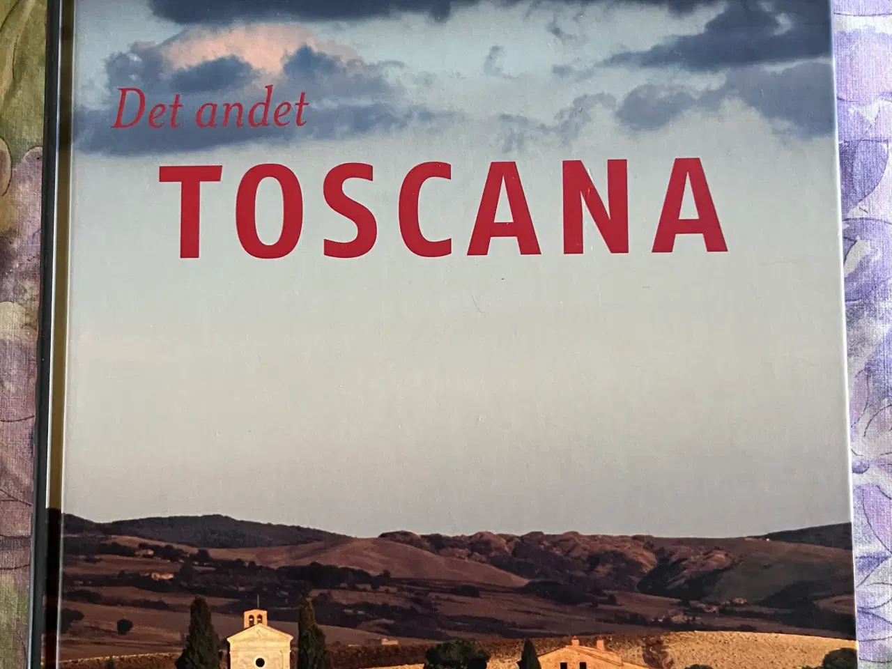 Billede 2 - “ Det andet Toscana “ af Berg og Condillac. 
