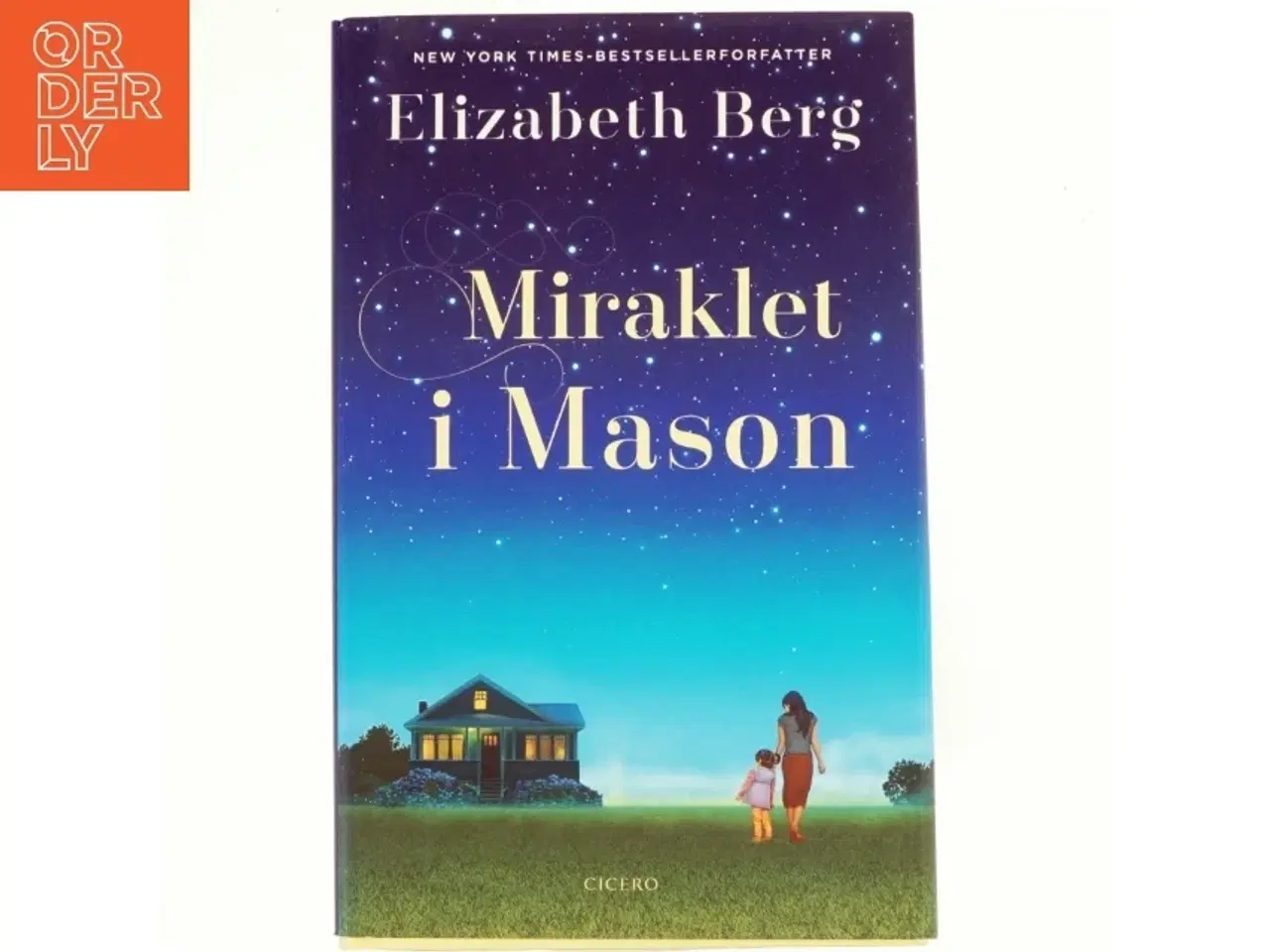 Billede 1 - Miraklet i Mason af Elizabeth Berg (f. 1948) (Bog)