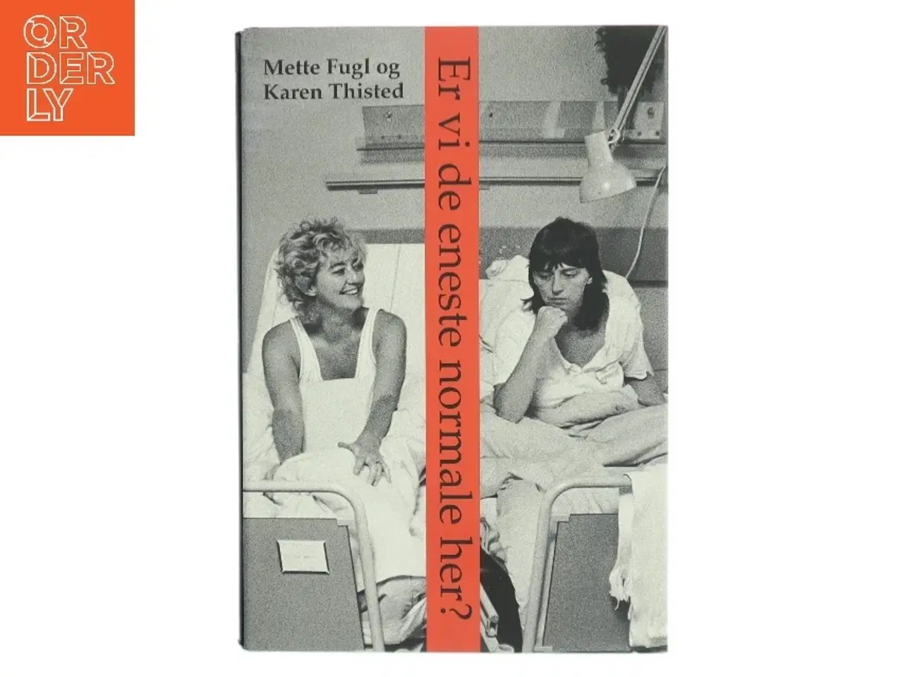 Billede 1 - Er vi de eneste normale her? : noter, anekdoter og samtaler om visse erindringer (Bog)