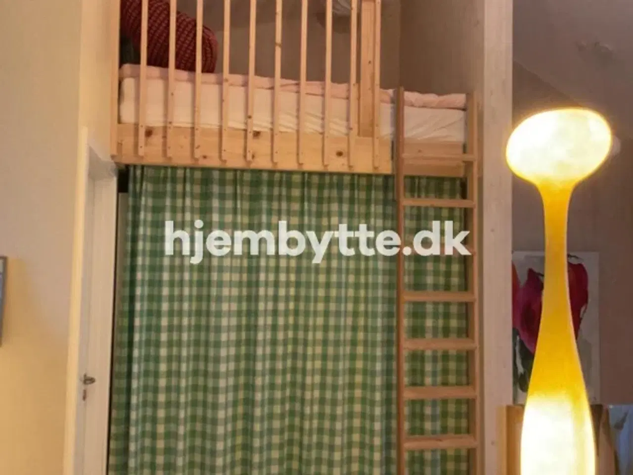 Billede 2 - Hjembytte - Skademosen