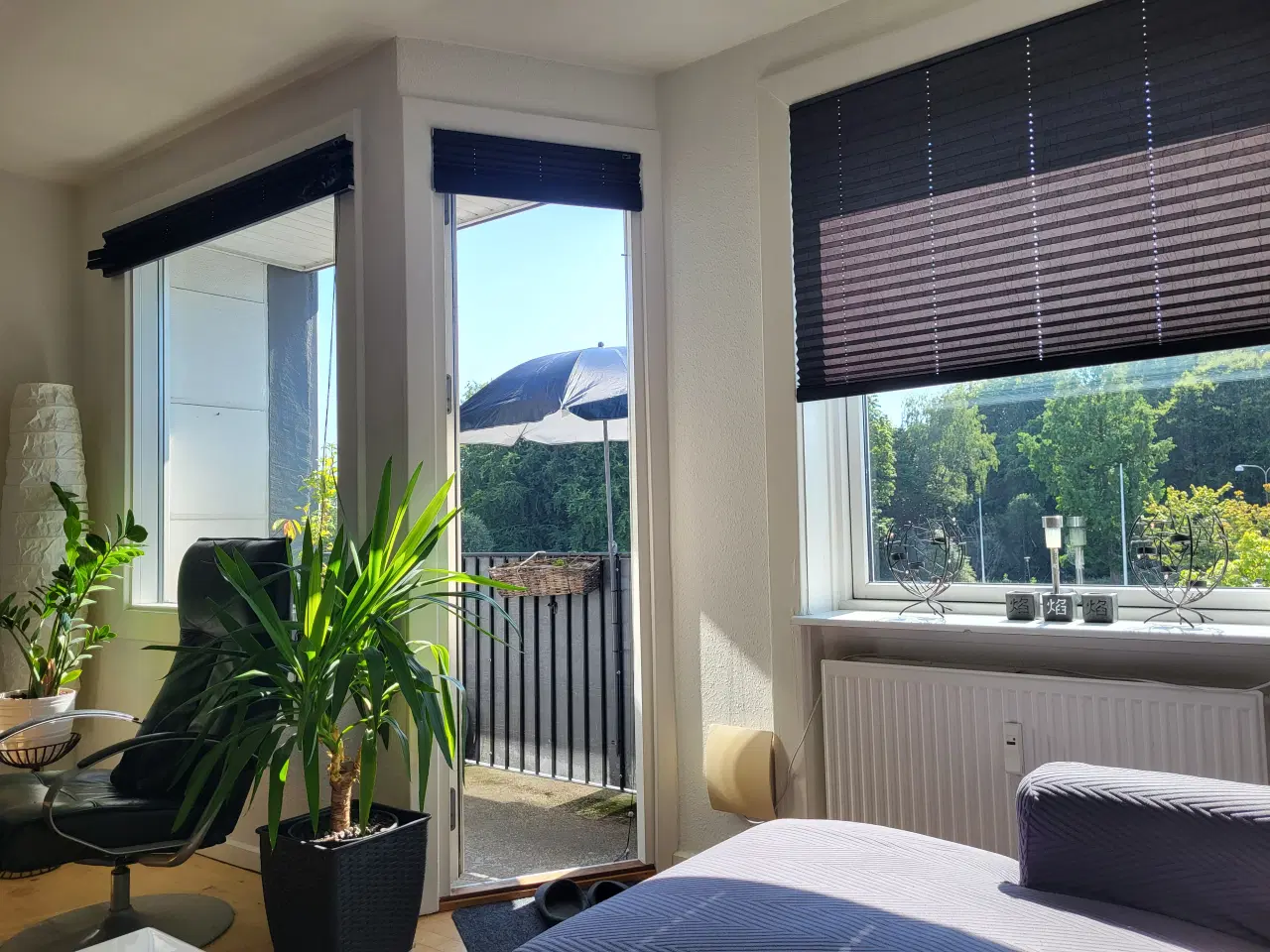 Billede 10 - Charmerende lejlighed i hjertet af Fredericia