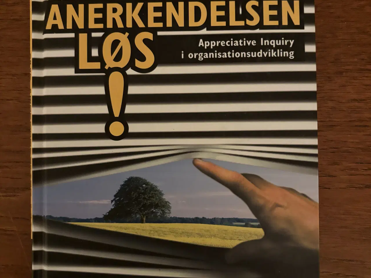 Billede 1 - Slip anerkendelsen fri 