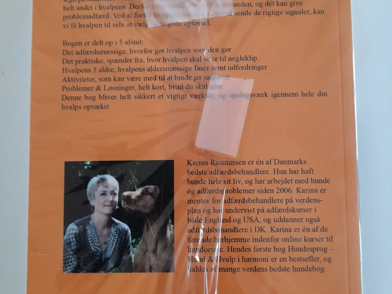 Billede 2 - Hvalp i harmoni