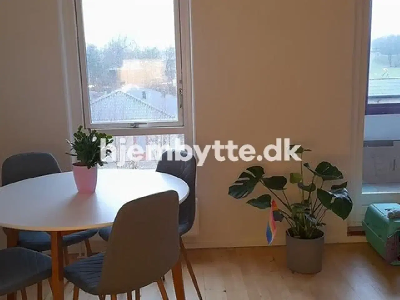 Billede 7 - Hjembytte - Sennepshaven