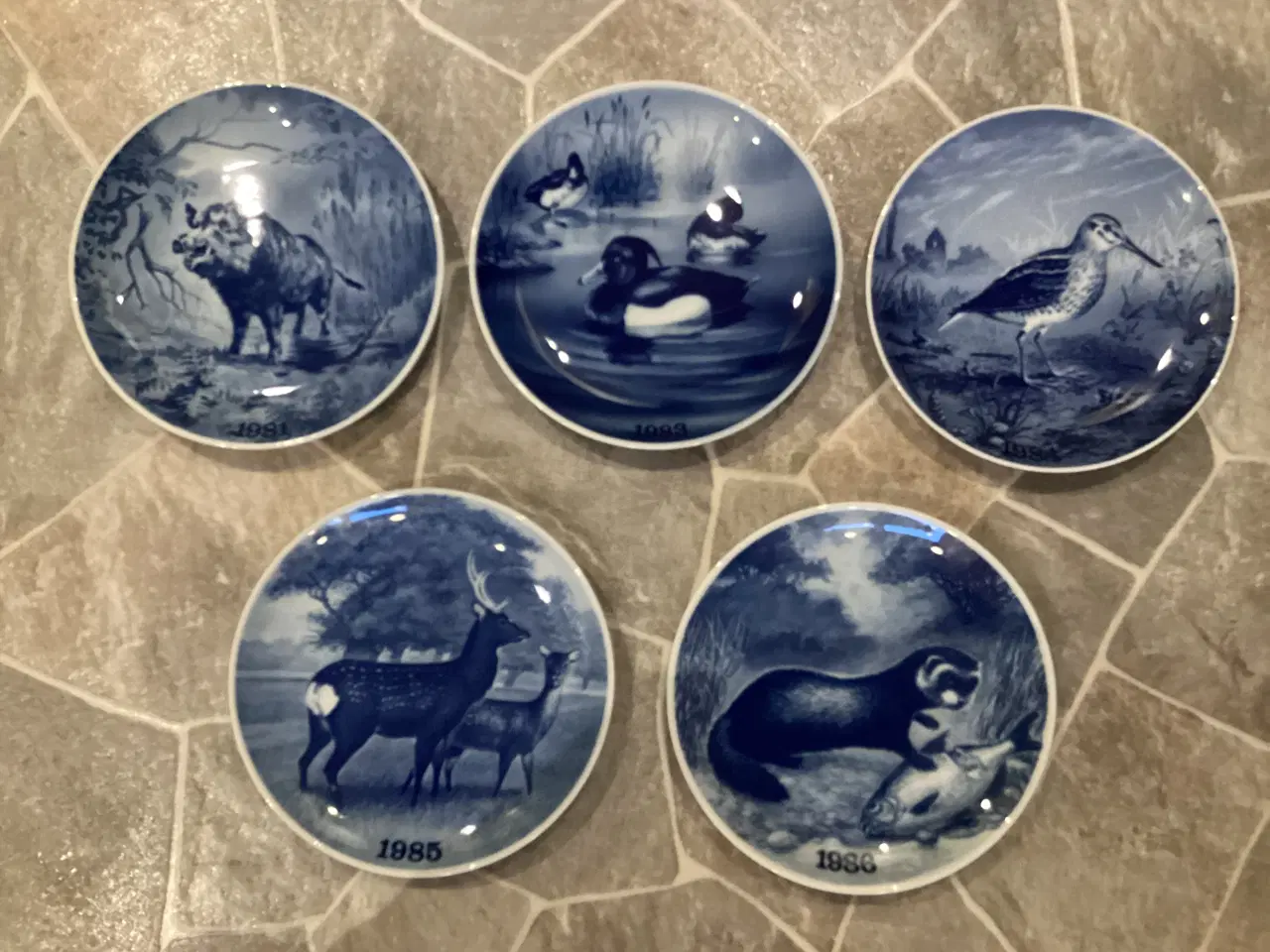 Billede 2 - Tove Svendsen jagtplatter