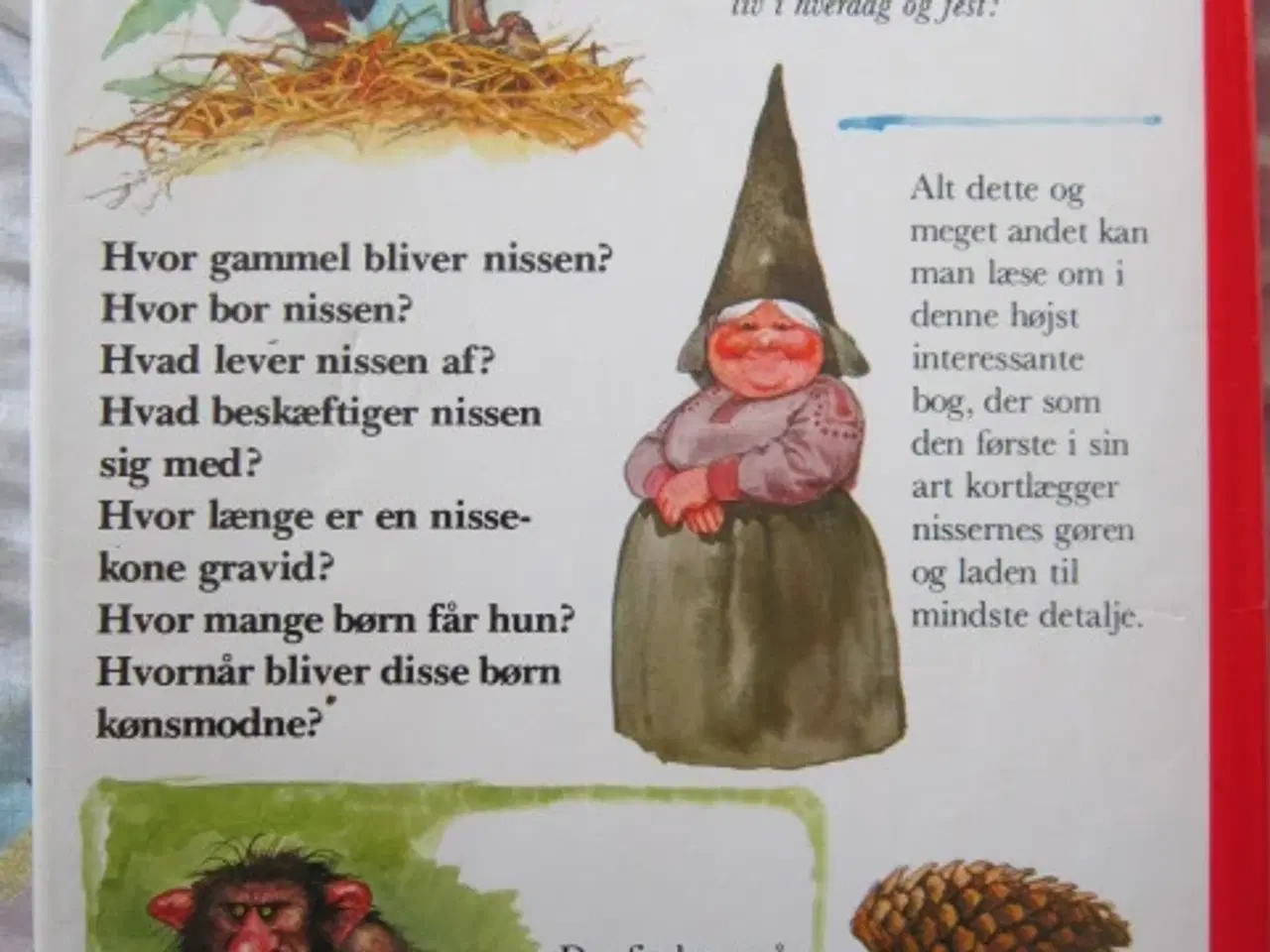 Billede 2 - Nisser i hverdag og fest