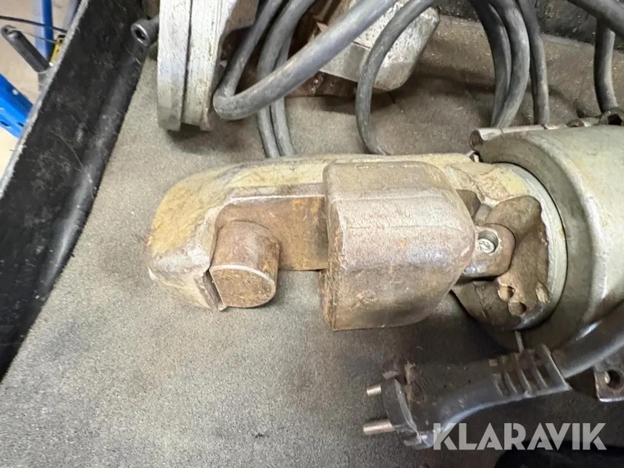 Billede 4 - Jernbukker Edilgrappa