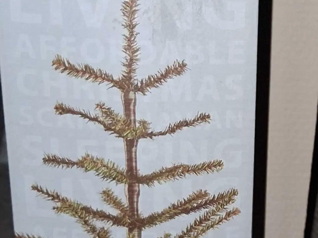 Billede 1 - kunstigt juletræ jysk udåben sælges rigtig jule