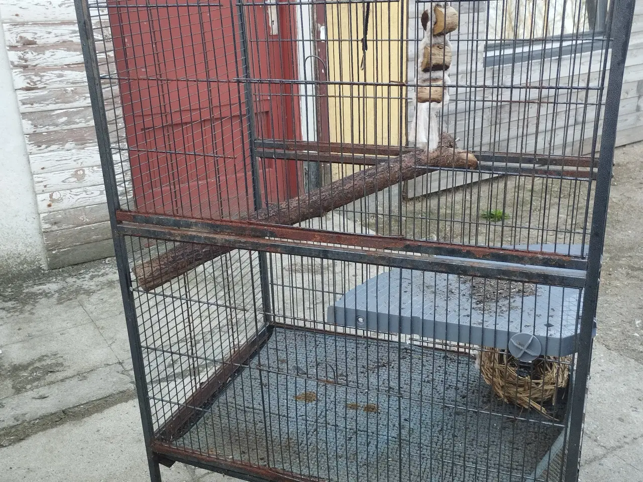 Billede 2 - 2 gratis bure