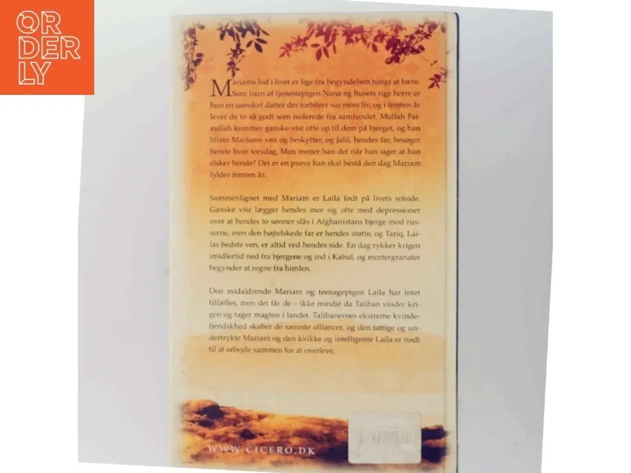 Billede 3 - Khaled Hosseini, under den strålende sol