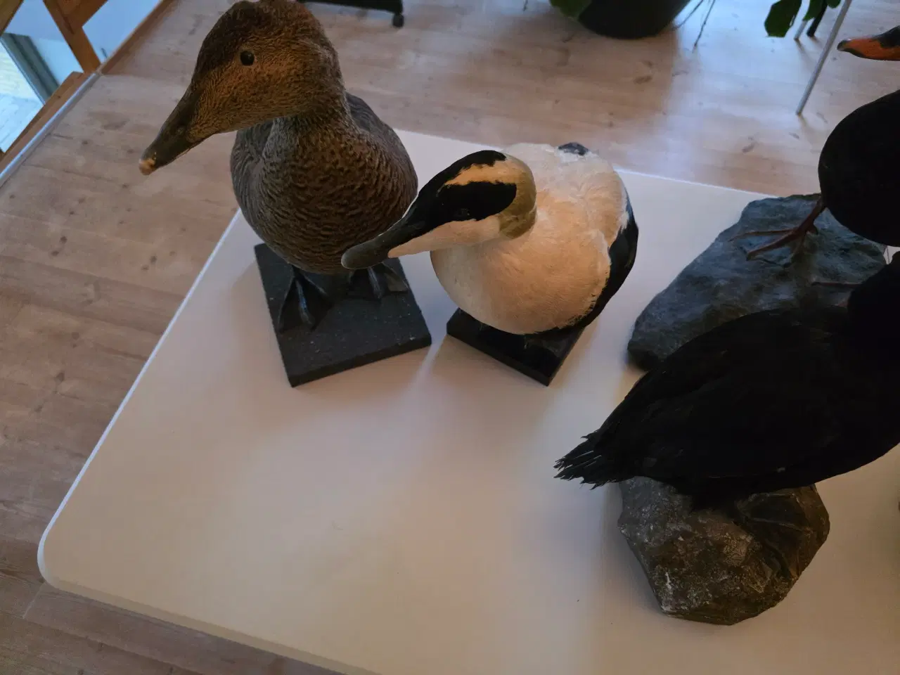 Billede 2 - Dykænder sælges enten samlet eller hver for sig